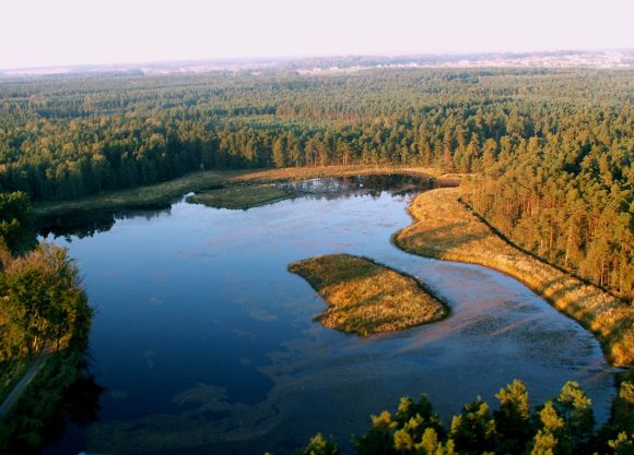 Zbiornik "Siewniok" - leśnictwo Trójca