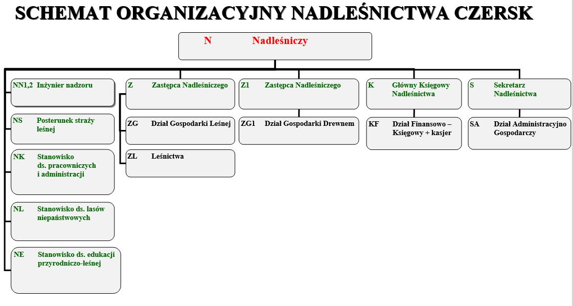 Ilustracja do tematu Organizacja