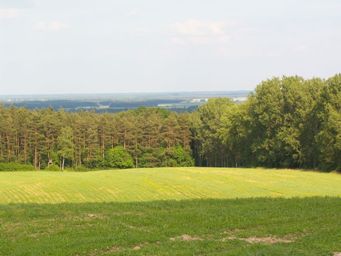 Wzgórze "Wittenberg" - 148 m.n.p.m - najwyższe wzniesienie na terenie Nadleśnictwa Sulechów - widok na rezerwat "Radowice".